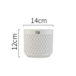 THE GREY BLEND® Round White Concrete Indoor Planter Pot - Small Succulent Container, for Home Decor, Office Table, Work Desk, Center Tables, Decorative Piece - Image 5