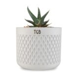 THE GREY BLEND® Round White Concrete Indoor Planter Pot - Small Succulent Container, for Home Decor, Office Table, Work Desk, Center Tables, Decorative Piece - Image 2