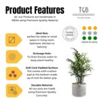 THE GREY BLEND® Round White Concrete Indoor Planter Pot - Small Succulent Container, for Home Decor, Office Table, Work Desk, Center Tables, Decorative Piece - Image 7